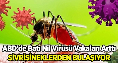 Sivrisineklerden Yayılan Hastalığa Dikkat! Amerika Alarm Verdi!