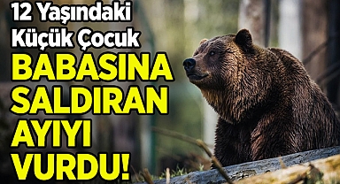 12 Yaşındaki Çocuk, Babasına Saldıran Ayıyı Vurdu!