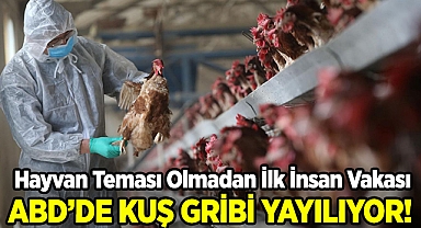 ABD'de Hayvan Teması Olmadan Kuş Gribi Vakası Tespit Edildi!