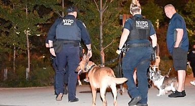 New York'ta Brooklyn Köprü Parkı'nda Yine Kemik Bulundu