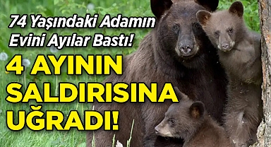 74 Yaşındaki Adam, Evinde 4 Ayının Saldırısına Uğradı!