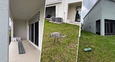 ABD'de yaşayan Türk vatandaşı dehşet kasırga sonrası evinin durumunu paylaştı