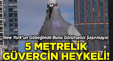 New York'un Göbeğinde 5 Metre Yüksekliğinde Dev Güvercin!
