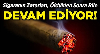 Sigaranın Zararları Öldükten Sonra Bile Devam Ediyor!