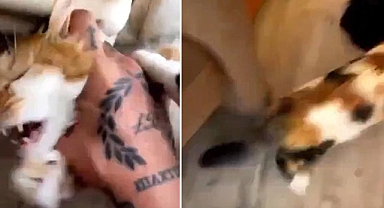 Sosyal medyayı ayağa kaldıran görüntüler: Kediye işkence ederek eğlendi