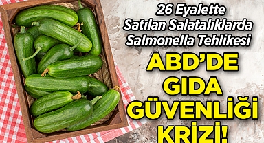 ABD'nin 26 Eyaletinde Satılan Salatalıklarda Salmonella Bakterisi Tespit Edildi!