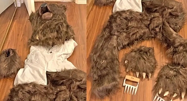 Ayı Kostümüyle Dolandırıcılık California'da Şok Olay