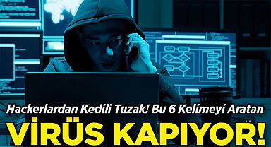 Hackerlardan Kedili Tuzak! Bu Altı Kelimeyi Aratan Virüs Kapıyor!