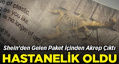 Shein'den Gelen Paket İçinden Akrep Çıktı: Hastanelik Oldu!