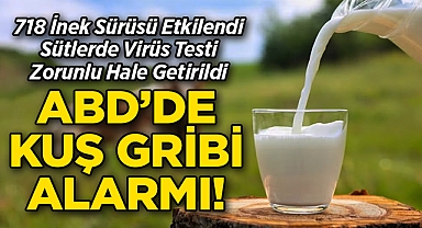 ABD'de Kuş Gribi Alarmı: 718 İnek Sürüsü Etkilendi, Sütler Test Edilecek!