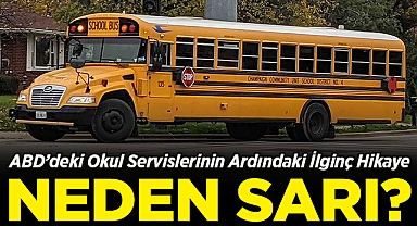 ABD'deki Okul Servislerinin Ardındaki İlginç Hikaye: Neden Sarı?