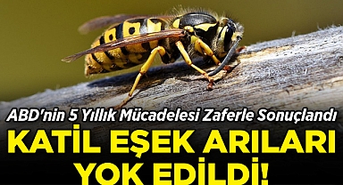 ABD'nin 5 Yıllık Mücadelesi Zaferle Sonuçlandı: Katil Eşek Arıları Yok Edildi!