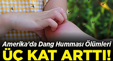 Amerika Kıtasında Dang Humması Vakaları, İklim Değişikliği Sebebiyle Üç Kat Arttı!
