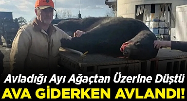 Avladığı Ayı, Ağaçtan Üzerine Düştü: 58 Yaşındaki Adam Hayatını Kaybetti