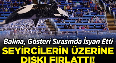 Balina, Gösteri Sırasında İsyan Etti: Seyircilerin Üzerine Dışkı Fırlattı!