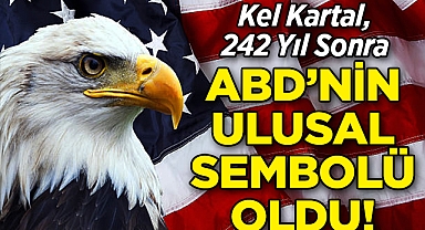 Kel Kartal, 242 Yıl Sonra ABD'nin Ulusal Sembolü Oldu!