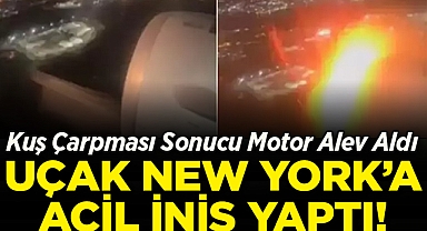 Kuş Çarpması Sonucu Motor Alev Aldı: Uçak, New York'a Acil İniş Yaptı!