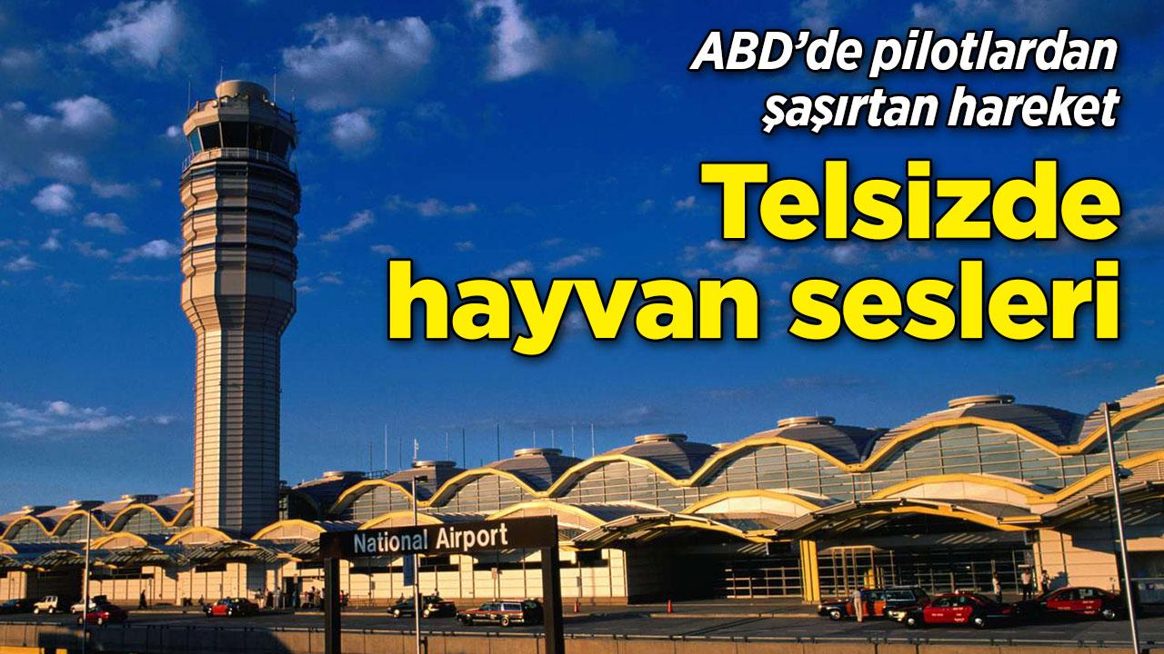 ABD'de pilotlar acil frekansta hayvan sesleri çıkardı