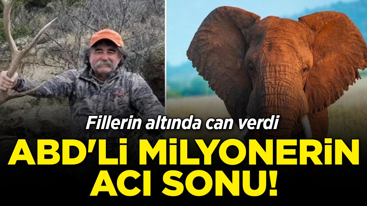 ABD'li milyonerin acı sonu! Fillerin altında can verdi