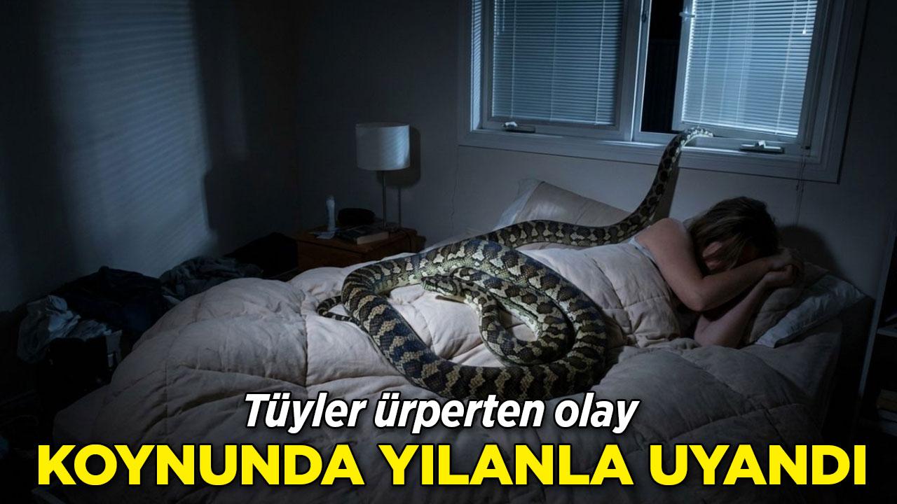 Göğsünde 2,5 metrelik pitonla uyandı
