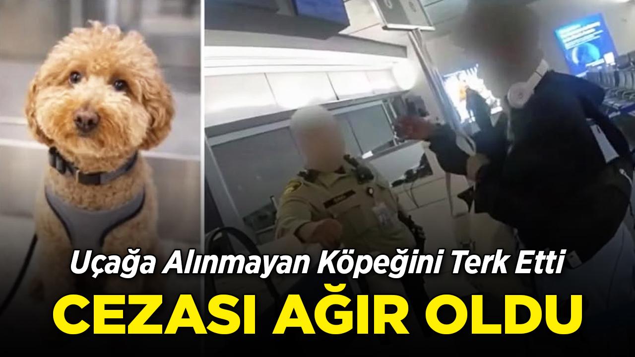 Havalimanında köpeğini terk eden kadın tutuklandı