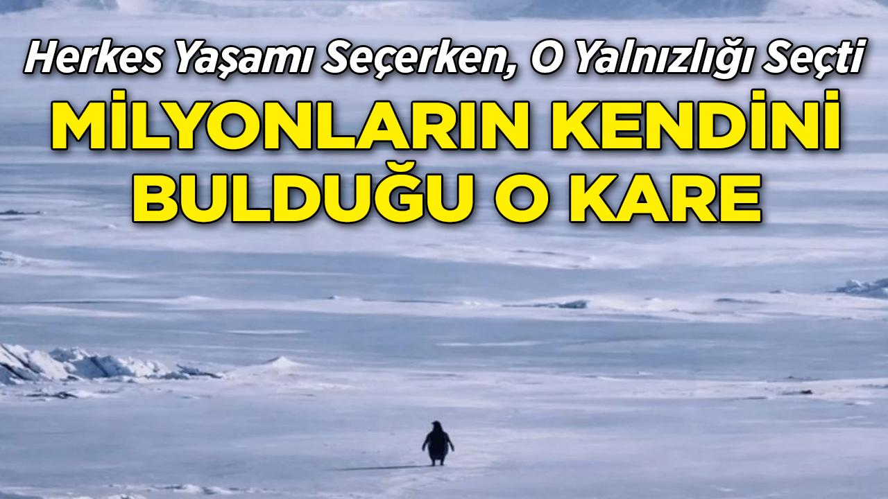 Herkes Yaşamı Seçerken, O Yalnızlığı Seçti Milyonların Kendini Bulduğu O Kare