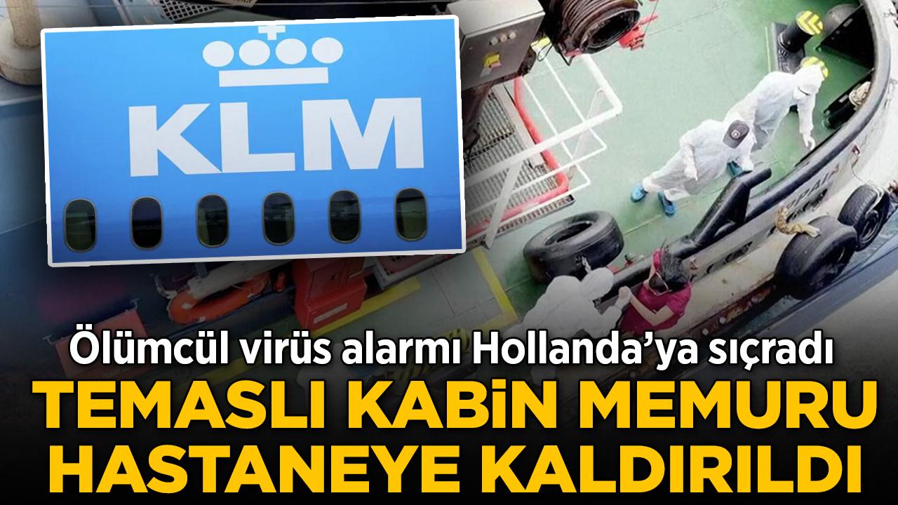 Hollanda'da "Hantavirüs" alarmı: Kabin memuru hastaneye kaldırıldı
