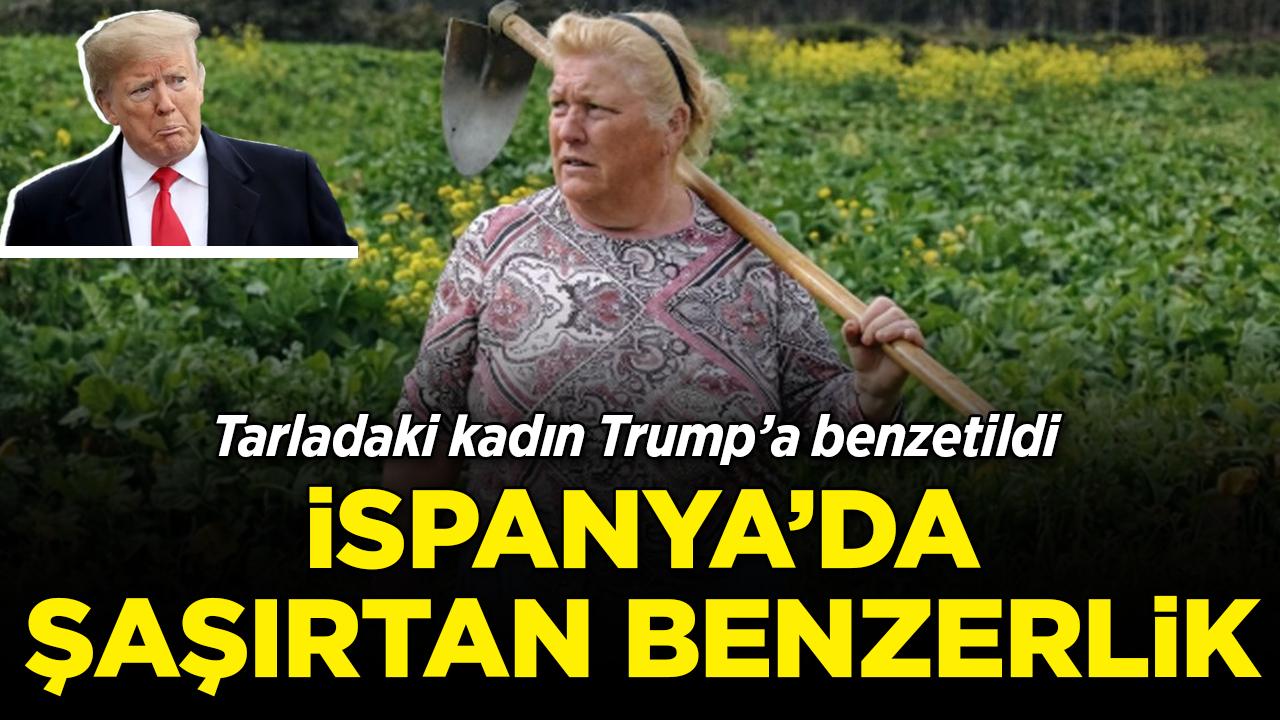 İspanya'da şaşırtan benzerlik: Tarladaki kadın Trump'a benzetildi