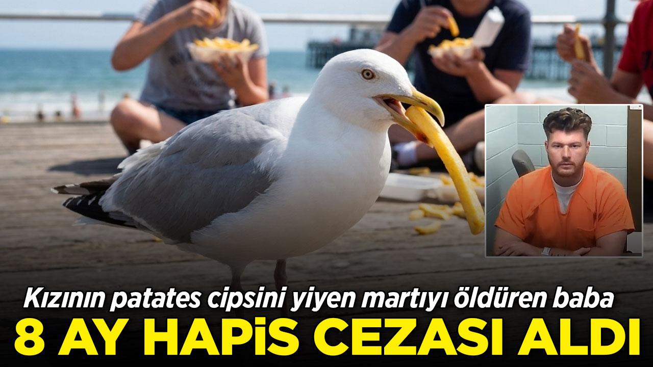 Kızının patates cipsini yiyen martıyı öldüren babaya 8 ay hapis