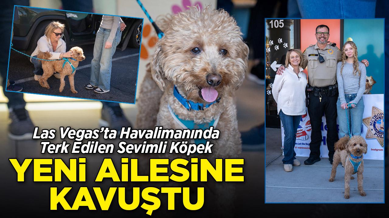 Havalimanında terk edilen köpek yeni ailesine kavuştu