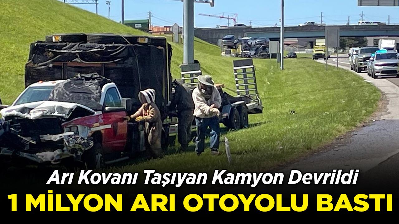 Otoyol Kabusa Döndü! 1 Milyon Arı Yolu İşgal Etti