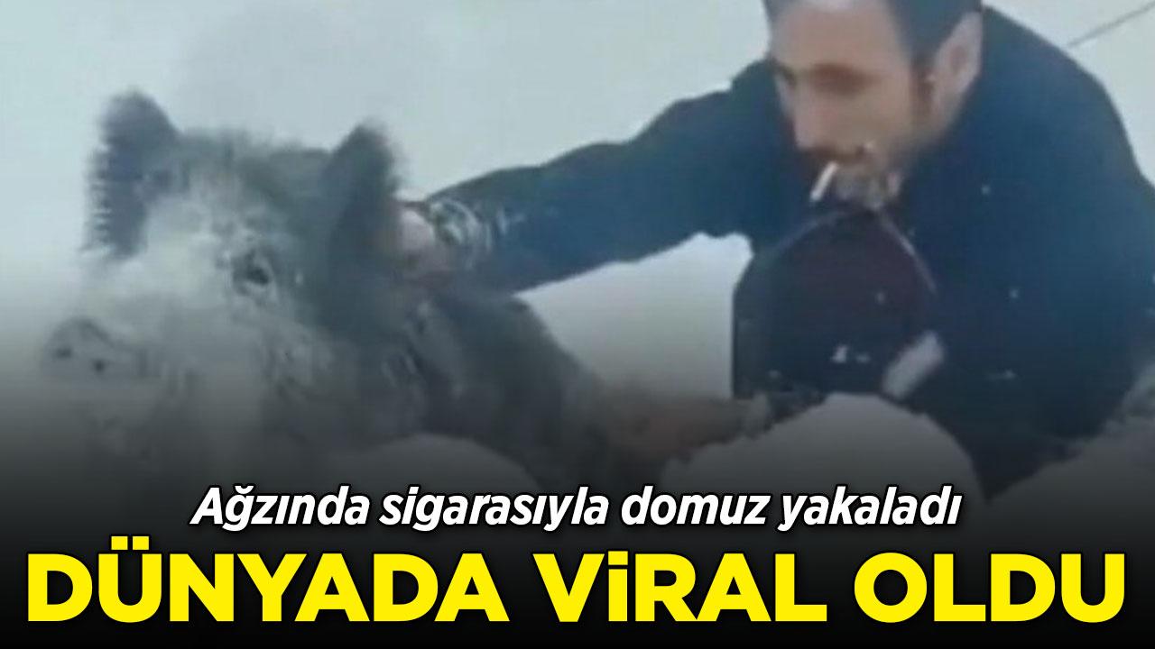 Sigarayı düşürmeden domuz yakaladı! Dünya o Türk'ü konuşuyor