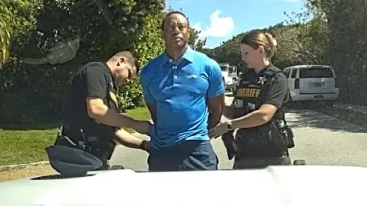 Tiger Woods polis kamerasında