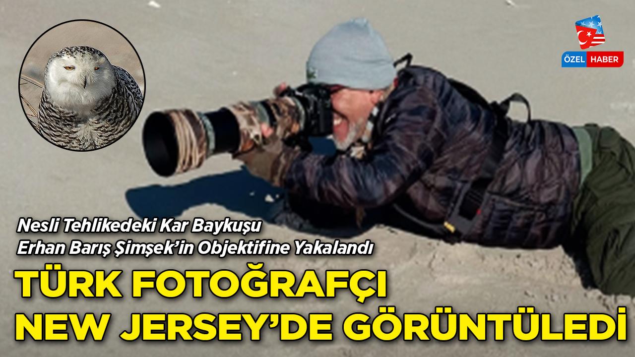 Türk Fotoğrafçı Nesli Tehlikedeki Kar Baykuşunu New Jersey'de Görüntüledi!