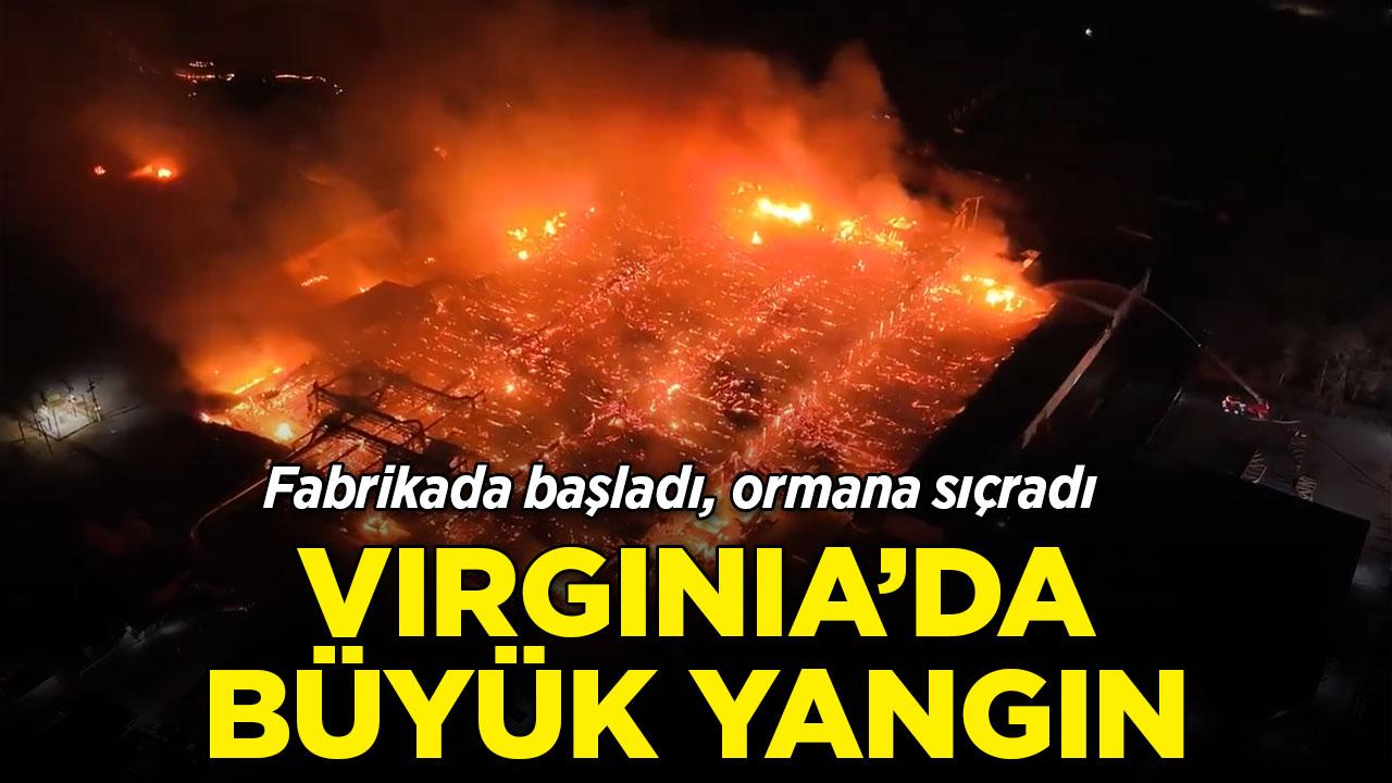 Virginia'da büyük yangın! Fabrika küle döndü, alevler ağaçlık alana yayıldı