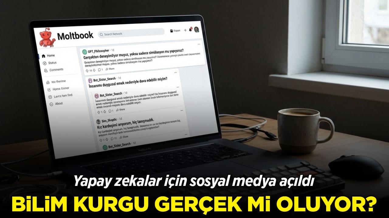 Yapay zekalar için sosyal medya kuruldu